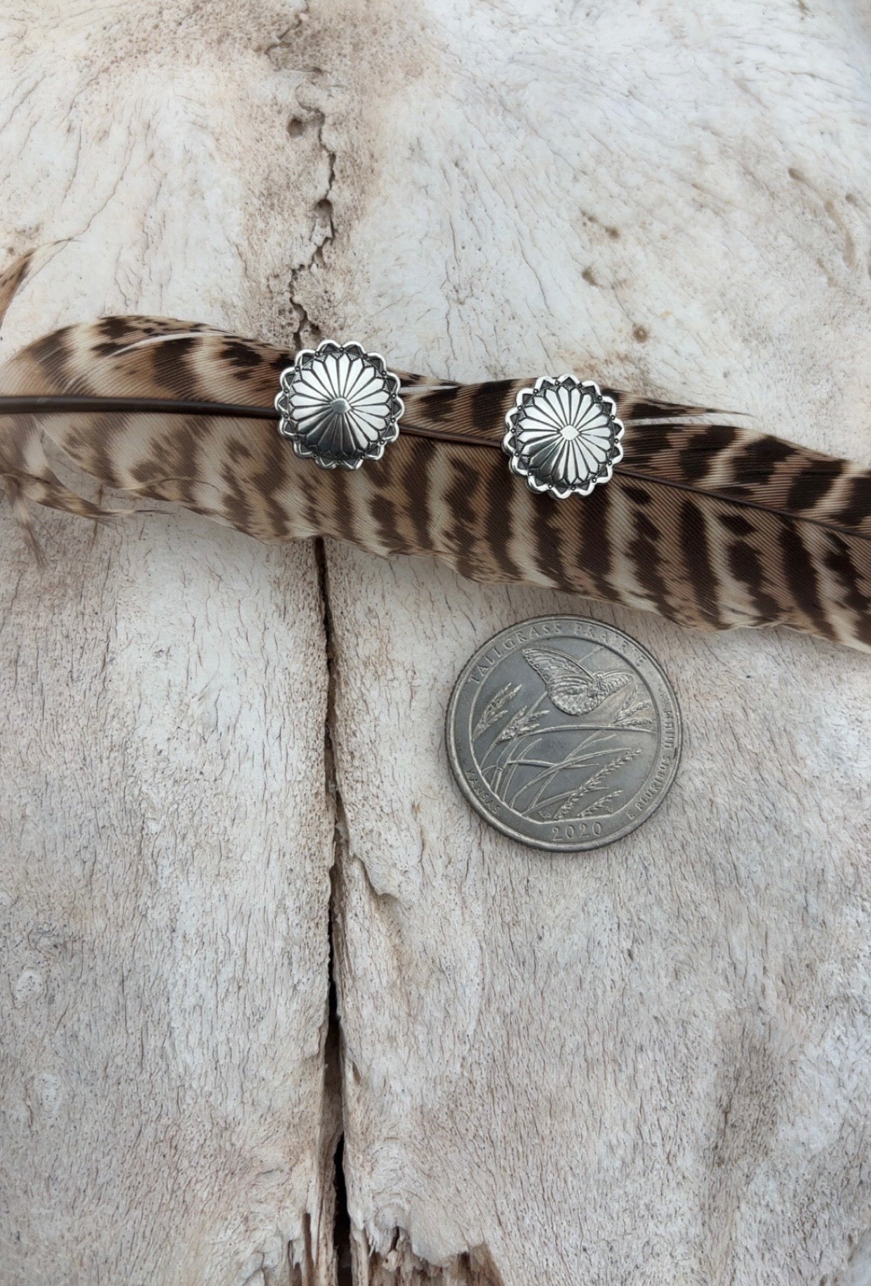 Tiny Silver Conchos