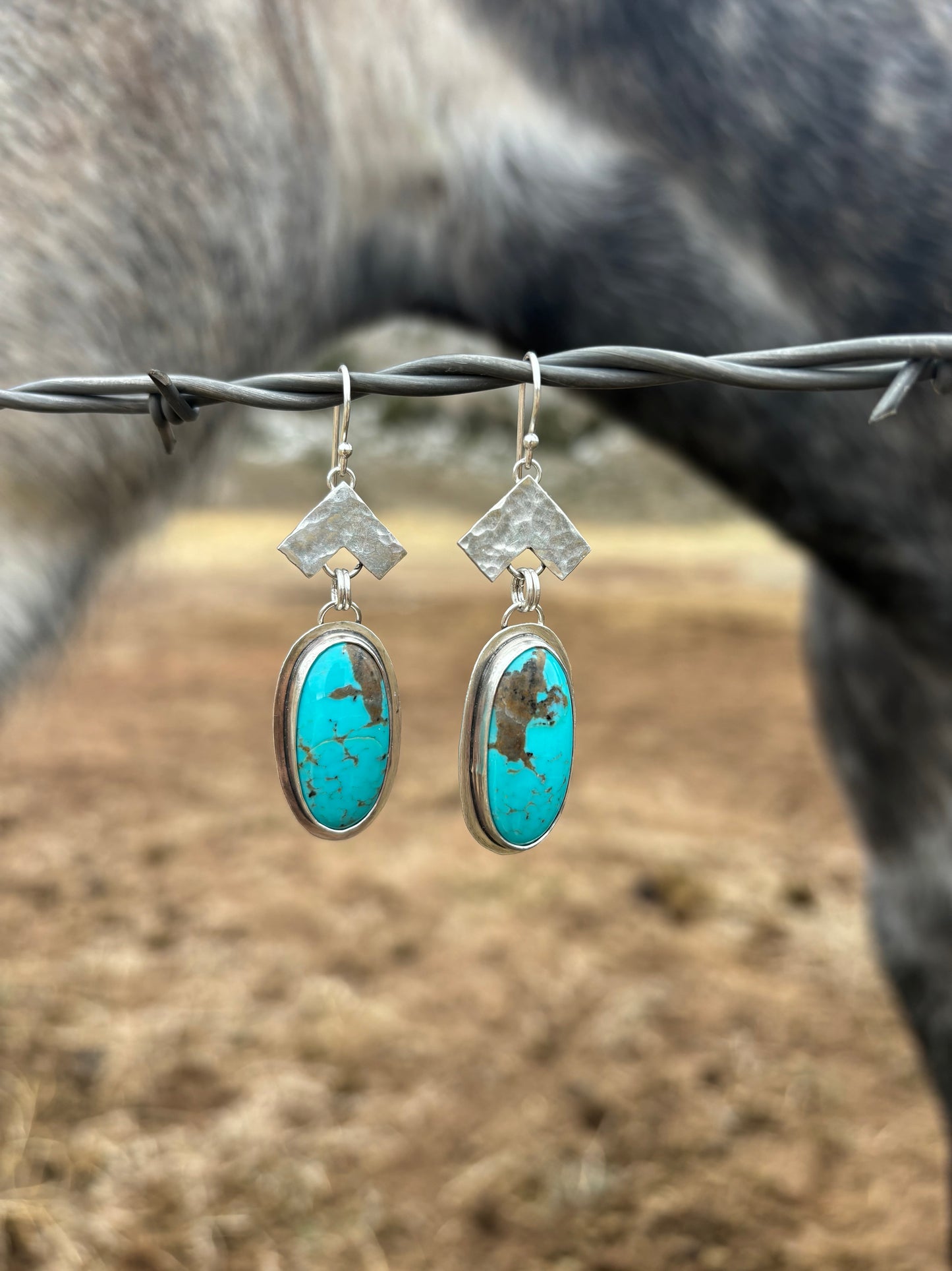 North Earrings